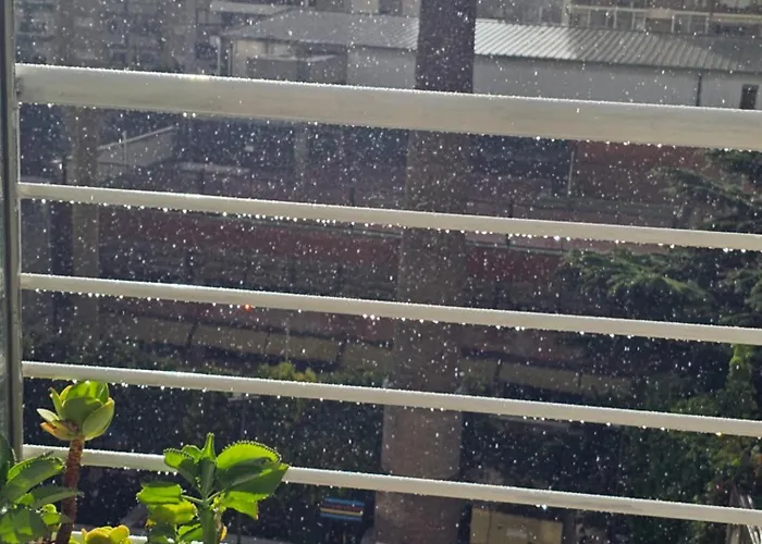 Hotel que admite mascotas: Palermo Apart