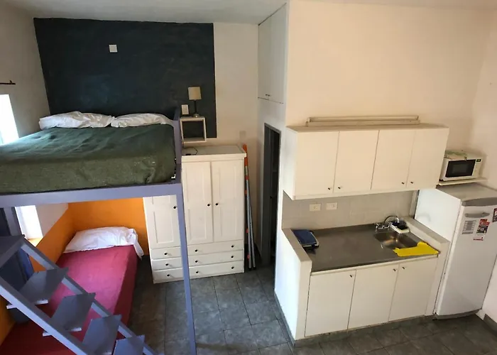 Perros hoteles Crespo Arena
